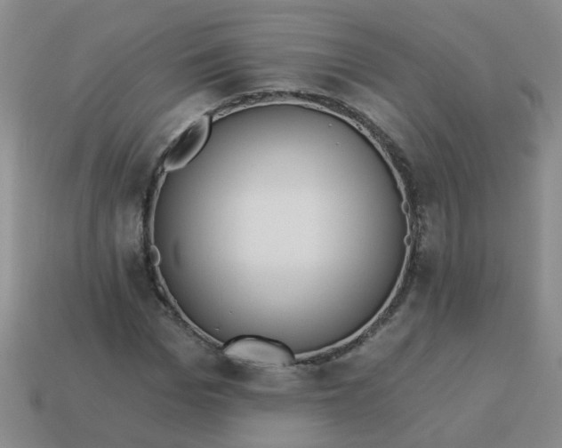 X0000114130969200910221501