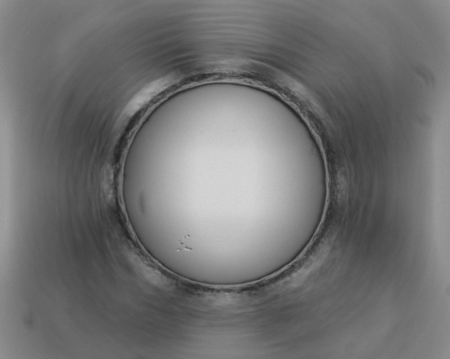 X0000114130970200910221501