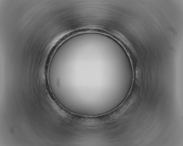 X0000114130972200910221501