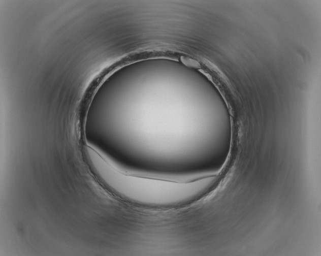 X0000114130973200910221501