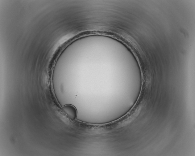 X0000114130974200910221501