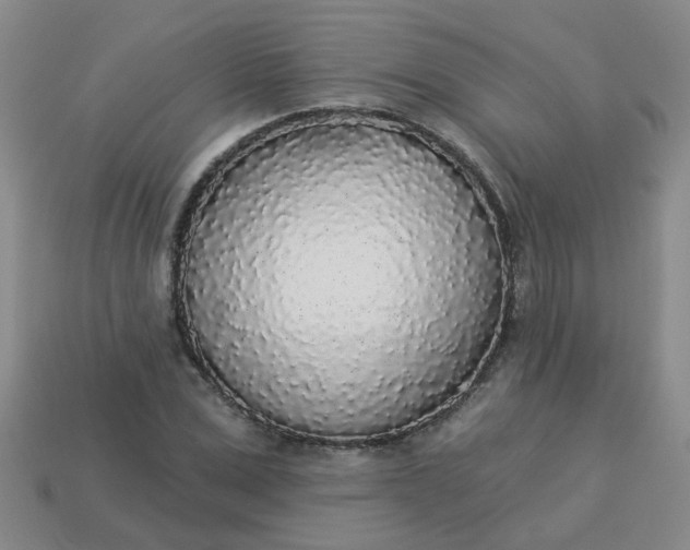 X0000114130975200910221501