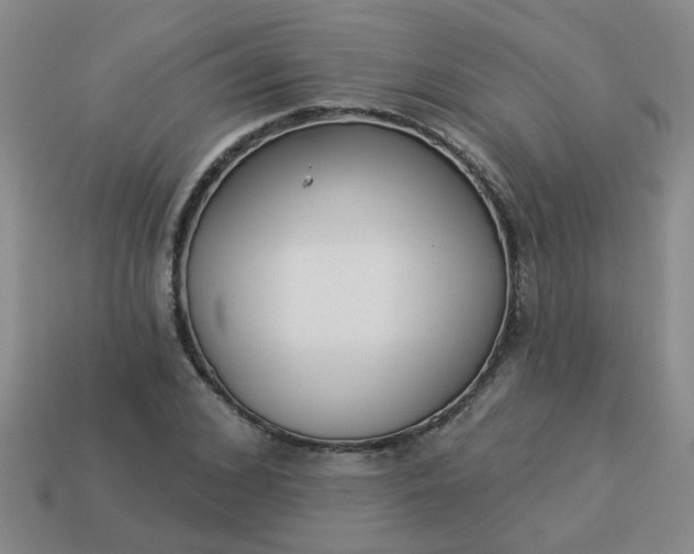 X0000114130976200910221501