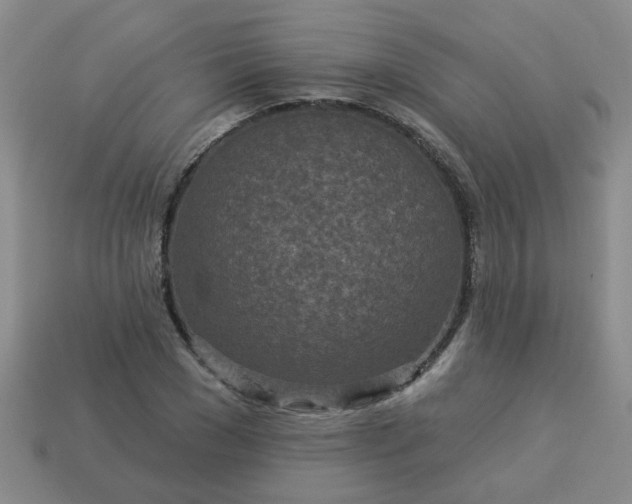 X0000114130977200910221501