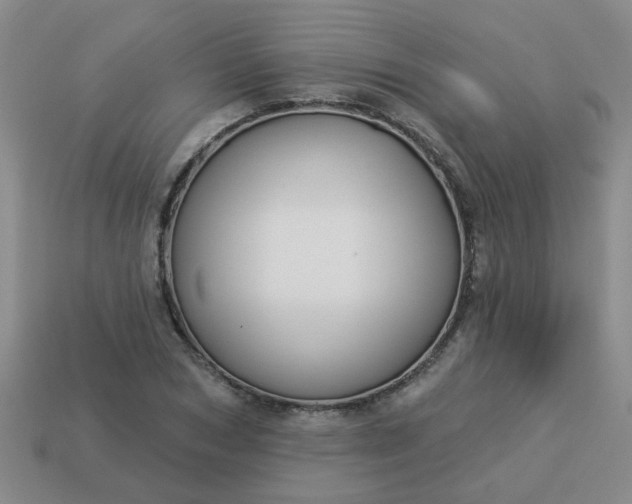 X0000114130978200910221501