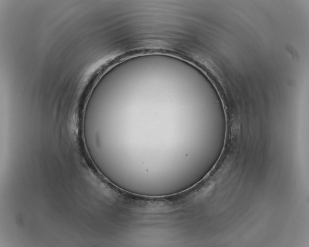 X0000114130979200910221501