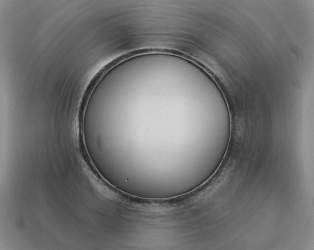 X0000114130980200910221501