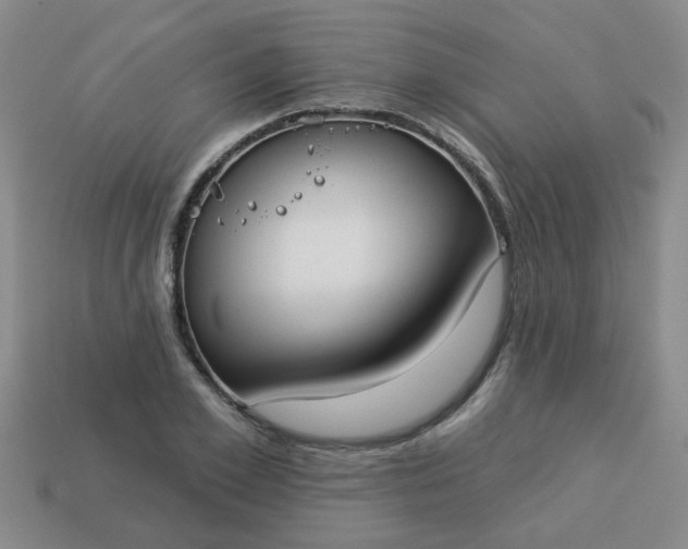 X0000114130981200910221501