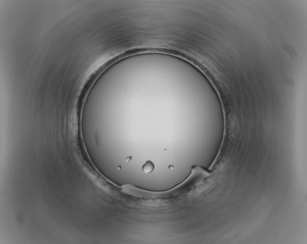 X0000114130982200910221501