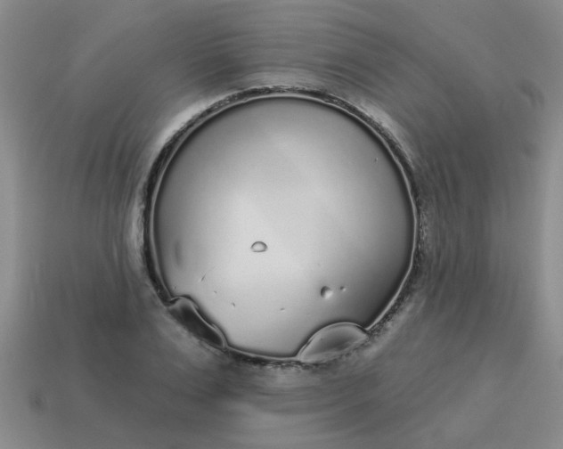 X0000114130983200910221501