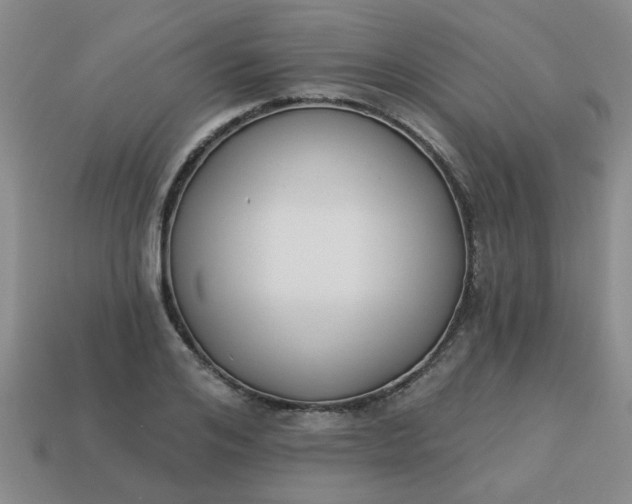 X0000114130984200910221501