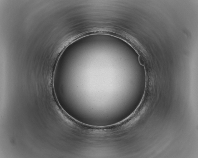 X0000114130985200910221501