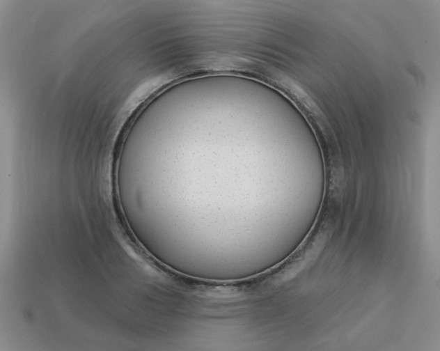 X0000114130986200910221501