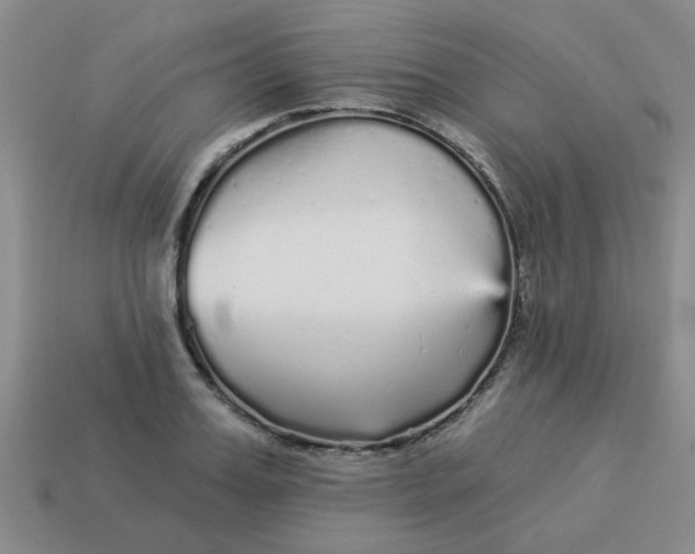 X0000114130987200910221501