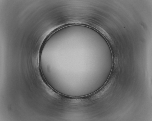 X0000114130988200910221501