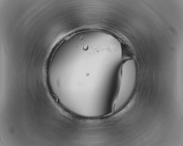 X0000114130989200910221500