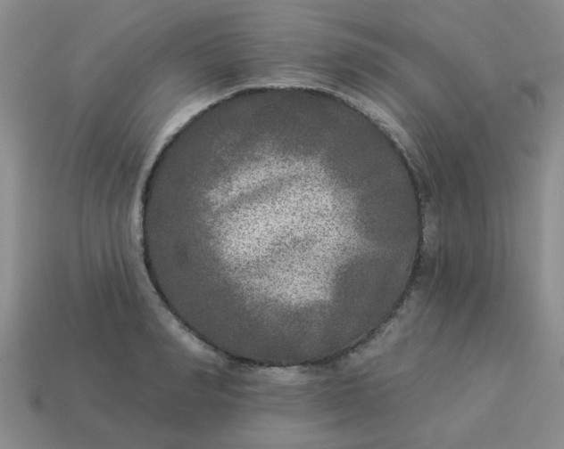 X0000114130990200910221500