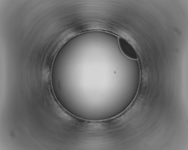 X0000114130993200910221500