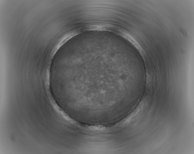 X0000114130994200910221500