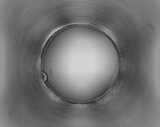 X0000114130996200910221500