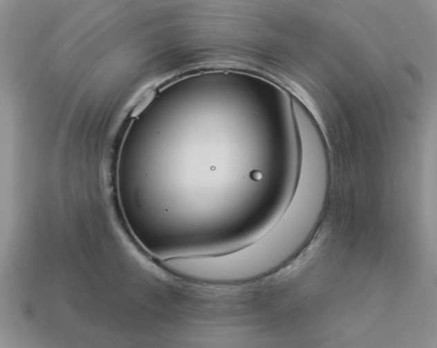 X0000114130997200910221500