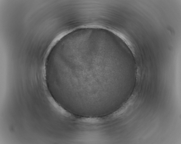 X0000114130998200910221500