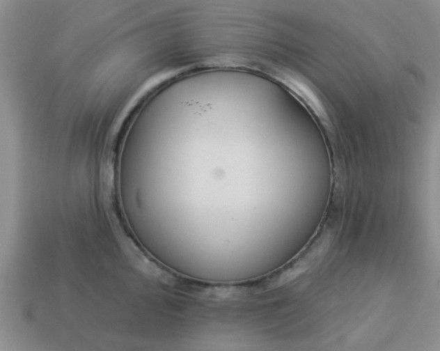 X0000114131000200910221500