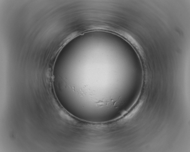 X0000114131001200910221500