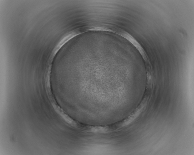 X0000114131002200910221500