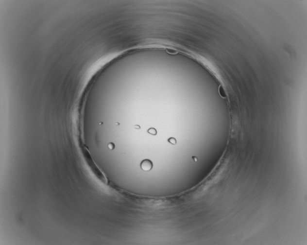 X0000114131003200910221500