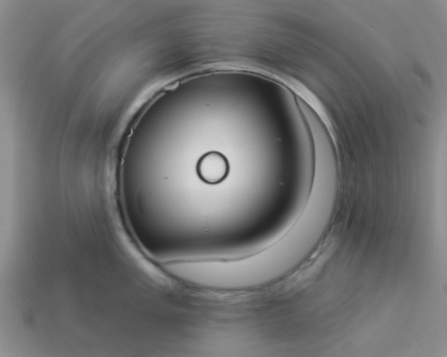 X0000114131005200910221500