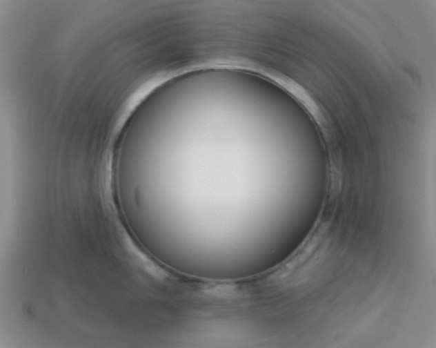 X0000114131006200910221500