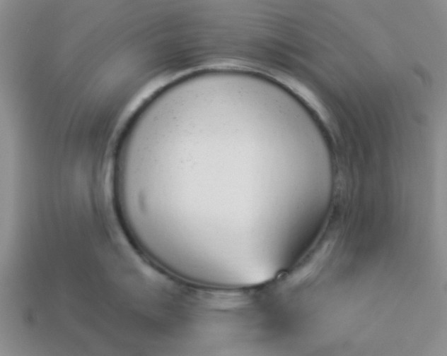 X0000114131007200910221500