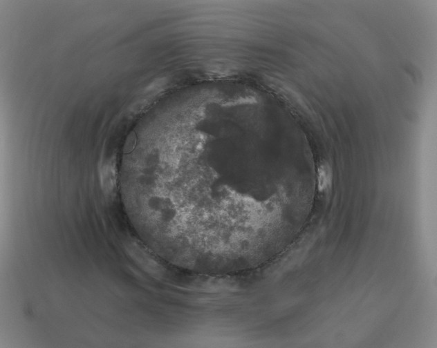 X0000114131011200910221500