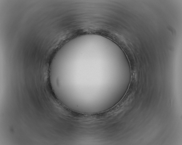 X0000114131012200910221500