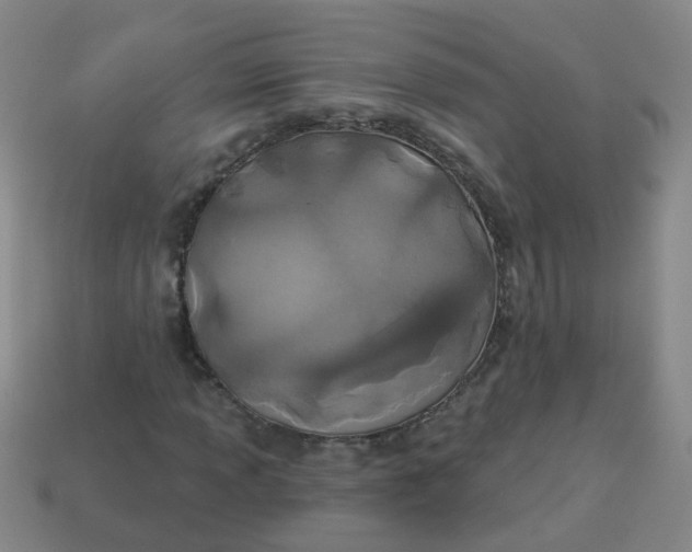 X0000114131013200910221500