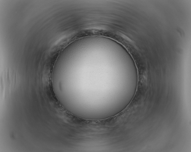 X0000114131014200910221500