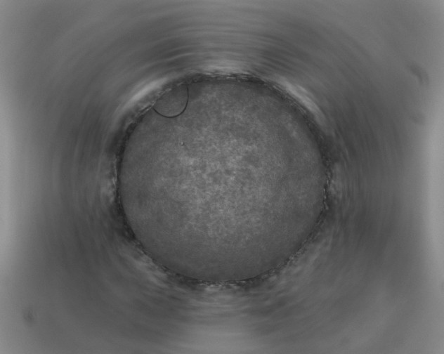 X0000114131015200910221500