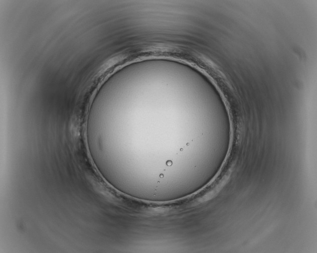 X0000114131017200910221500