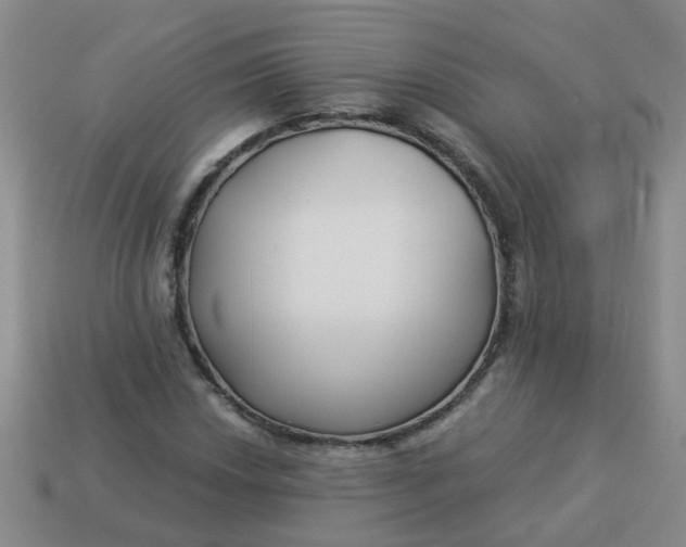 X0000114131018200910221500