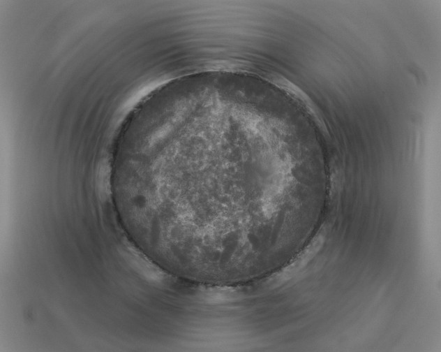 X0000114131019200910221500