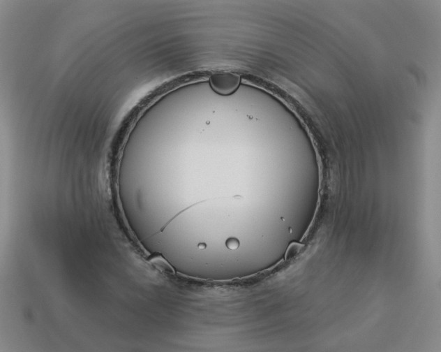 X0000114131022200910221500