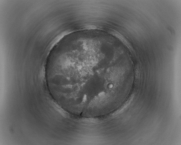 X0000114131023200910221500