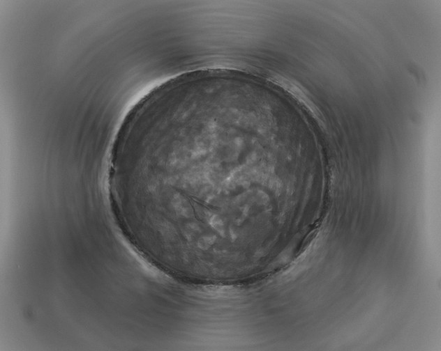 X0000114131024200910221500