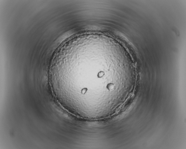 X0000114131025200910221500