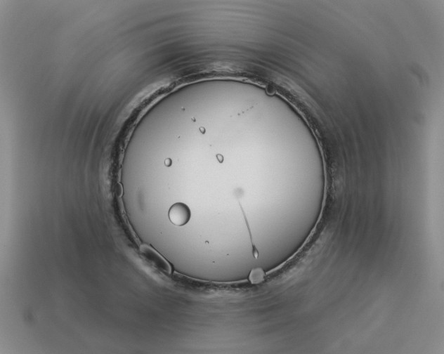 X0000114131026200910221500