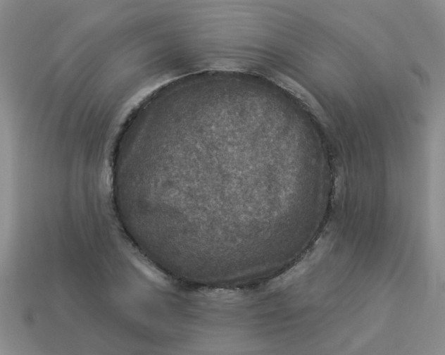 X0000114131027200910221500