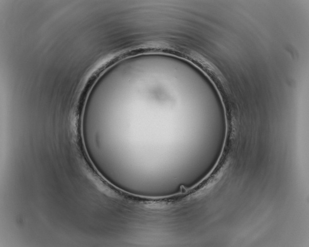 X0000114131029200910221500