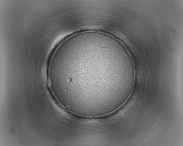 X0000114131030200910221500