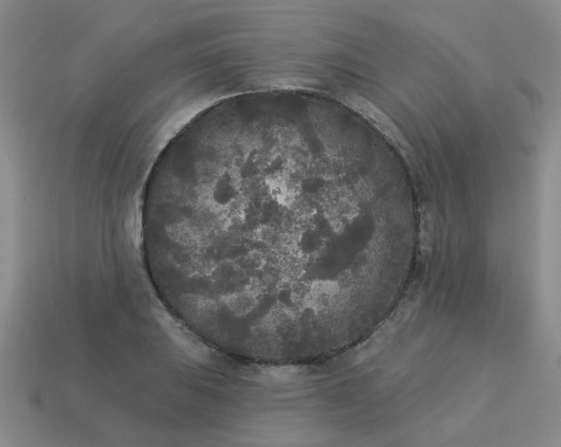 X0000114131031200910221500